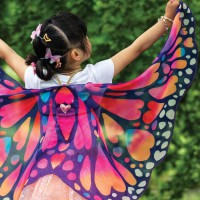 Butterfly Wings